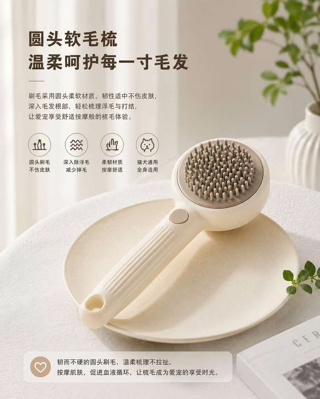 IMAGE 04 陪衬图 3